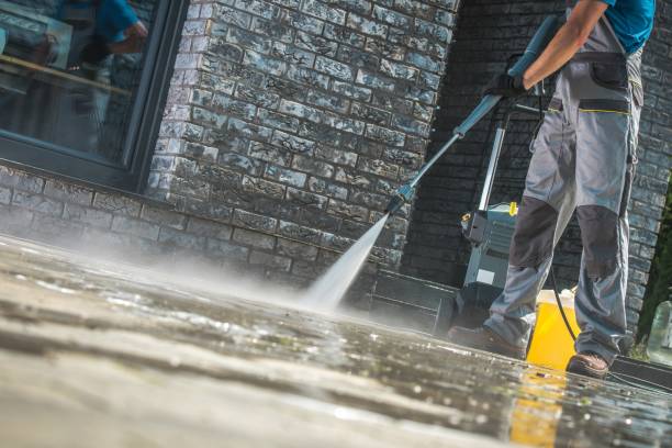 Best Fleet Vehicle Washing  in Oak Trail Shores, TX